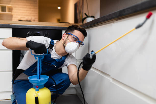 Best Rat Extermination Near Me  in Grove City, PA