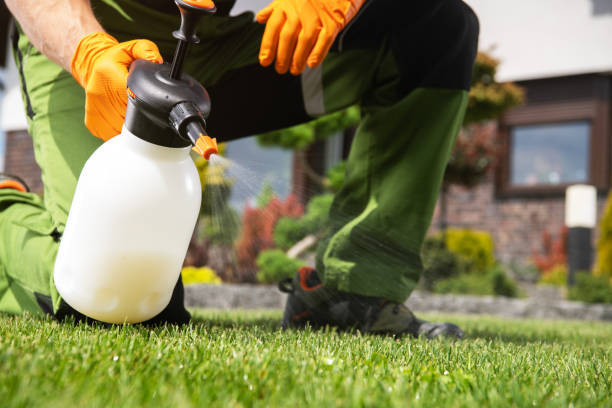 Best Affordable Pest Control Services  in Grove City, PA