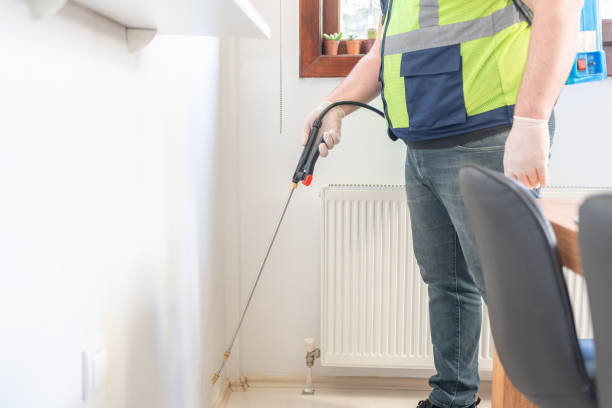 Best Ant Control Services  in Grove City, PA