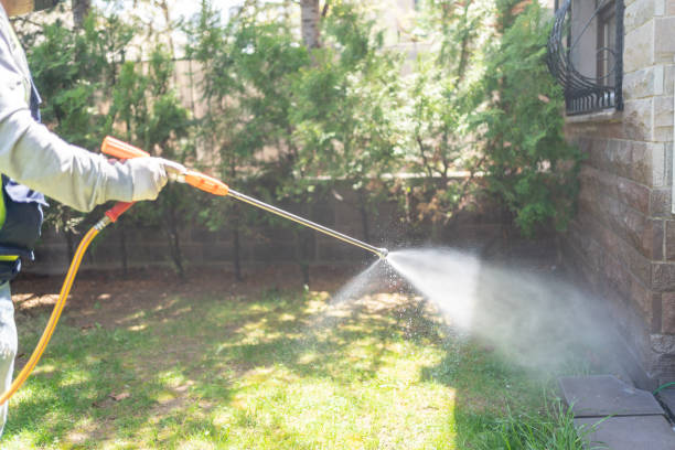 Best Mosquito Control Services  in Grove City, PA
