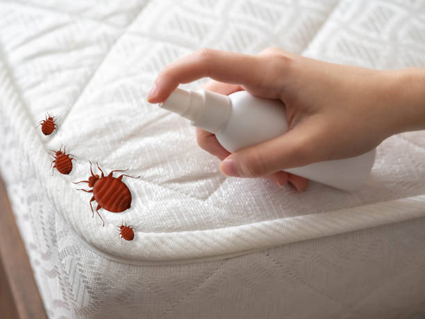 Pest Control Cost in Grove City, PA