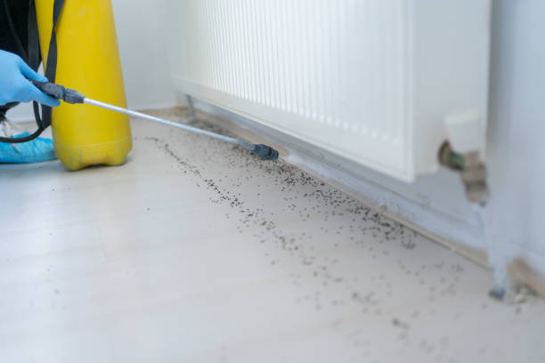 Best Wildlife Control Services  in Grove City, PA