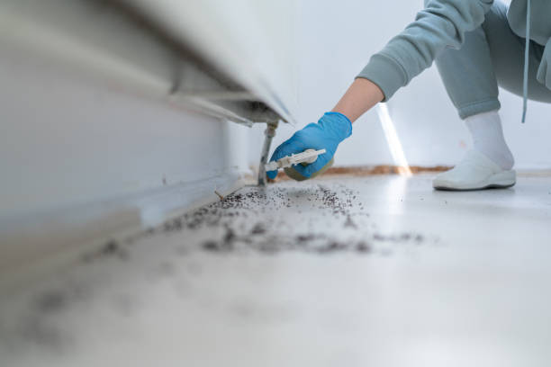 Best Best Pest Control Companies  in Grove City, PA