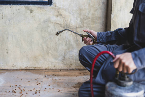 Best Best Pest Control Companies  in Grove City, PA